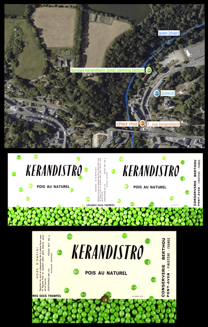 blog petits pois intro