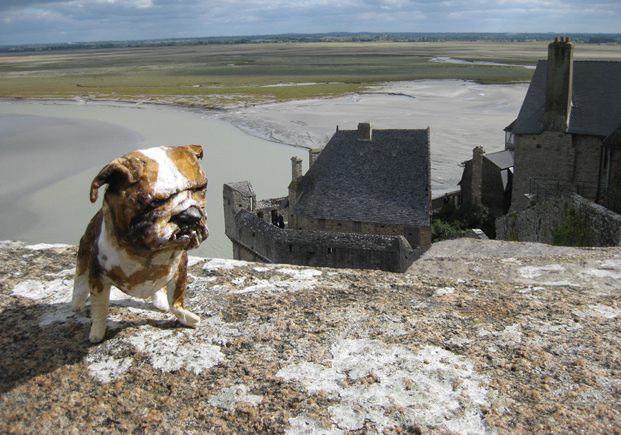 paperpets-bull-mont-st-michel-view-to-bay
