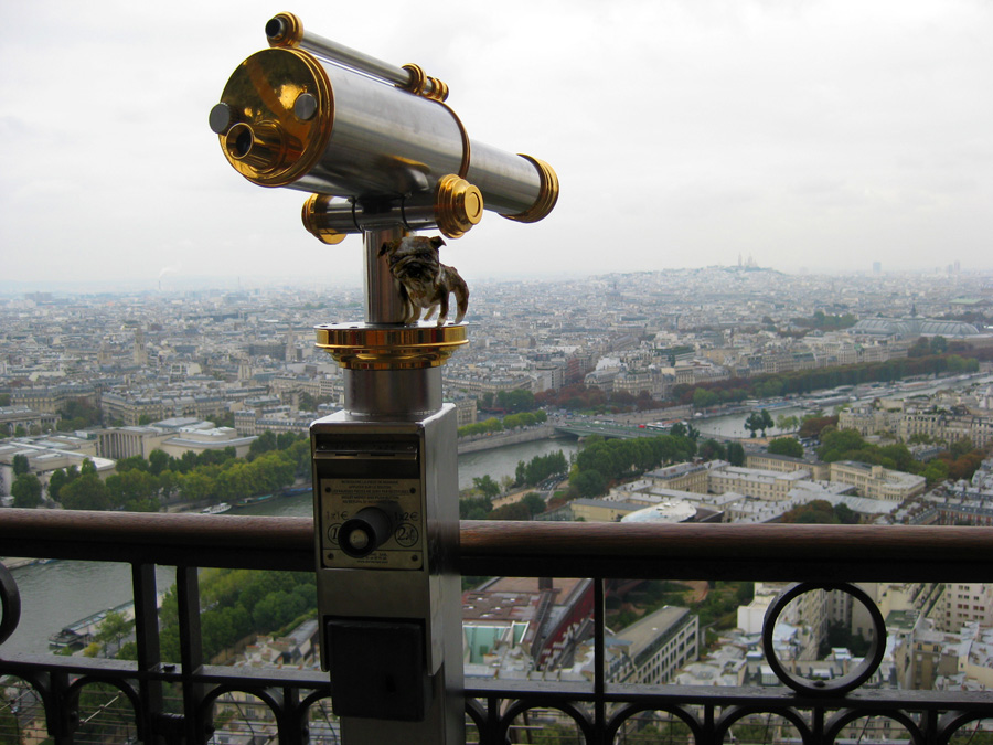 paperpets-paris-bull-eiffel-skyview