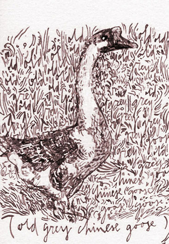 inks2015 old grey chinises goose